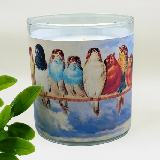 Feathered Friends