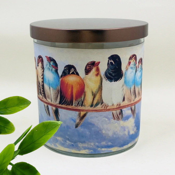 Feathered Friends