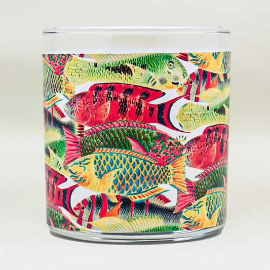 Frolicking Fish - 1800's Artwork Retro Design Scented Candle Coconut Apricot Wax Eco-Luxe