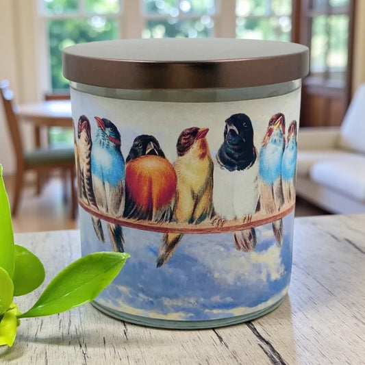 Feathered Friends - 1800's Artwork Retro Design Scented Candle Coconut Apricot Wax Eco-Luxe