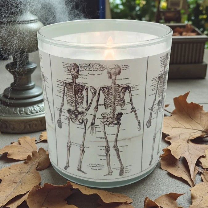 Bonefire- Halloween Anatomical Artwork Retro Design Scented Candle Coconut Apricot Wax Eco-Luxe