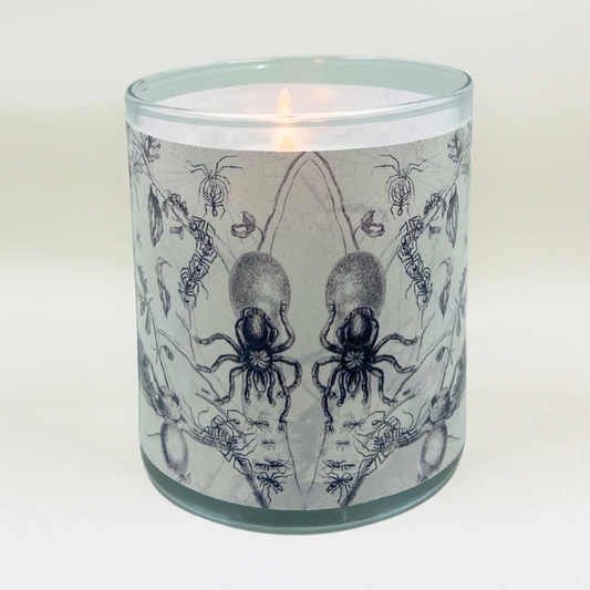 Creepy Crawlies