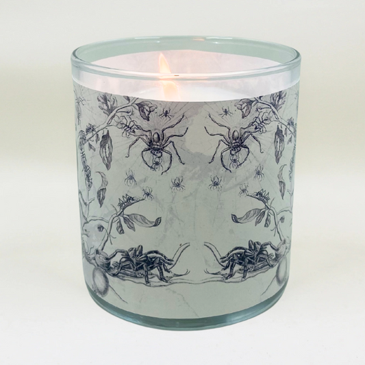 Creepy Crawlies