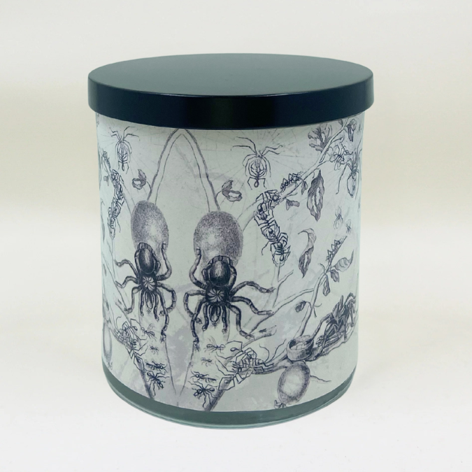 Creepy Crawlies- Halloween Artwork Retro Design Scented Candle Coconut Apricot Wax Eco-Luxe