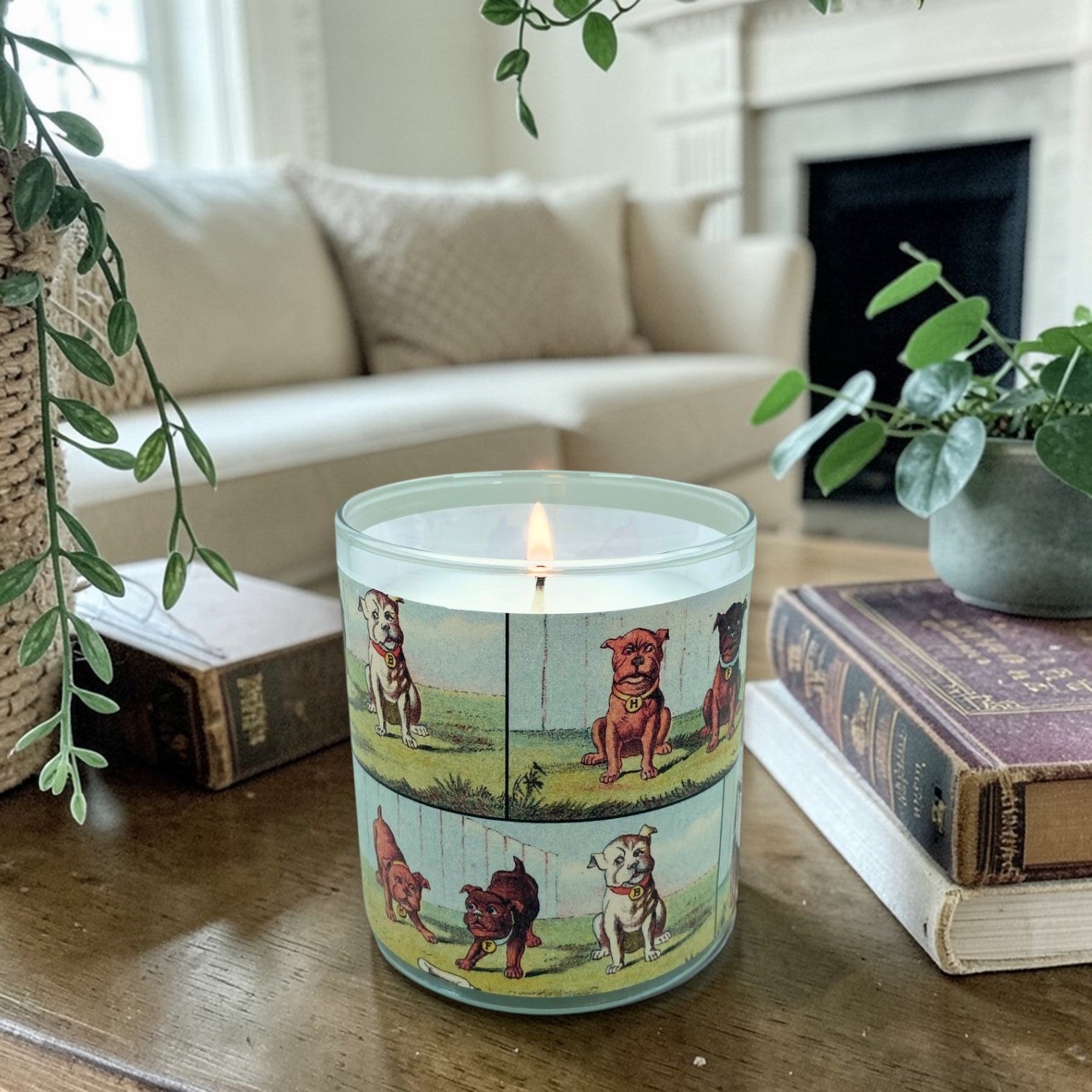 Life is Ruff - Luxury Coconut Apricot Wax Candle – 8.5 oz