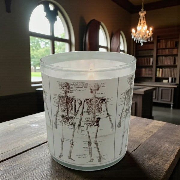Bonefire – Eco-Luxe Scented Candle | Coconut Apricot Wax | Vintage Anatomical Halloween Artwork Retro Design