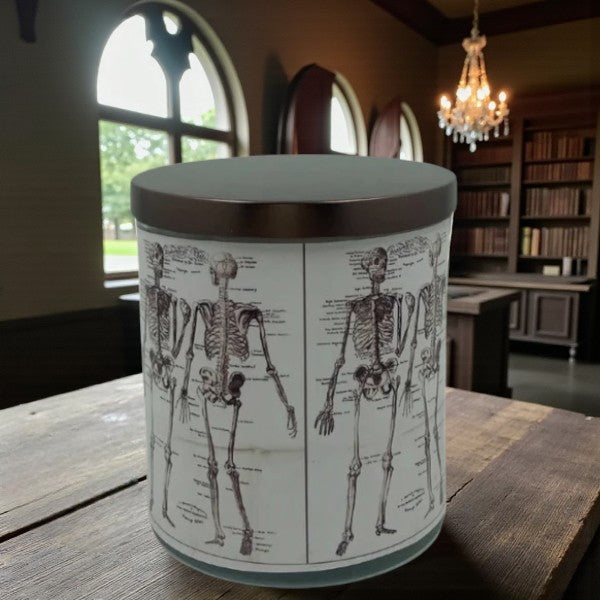 Bonefire – Eco-Luxe Scented Candle | Coconut Apricot Wax | Vintage Anatomical Halloween Artwork Retro Design
